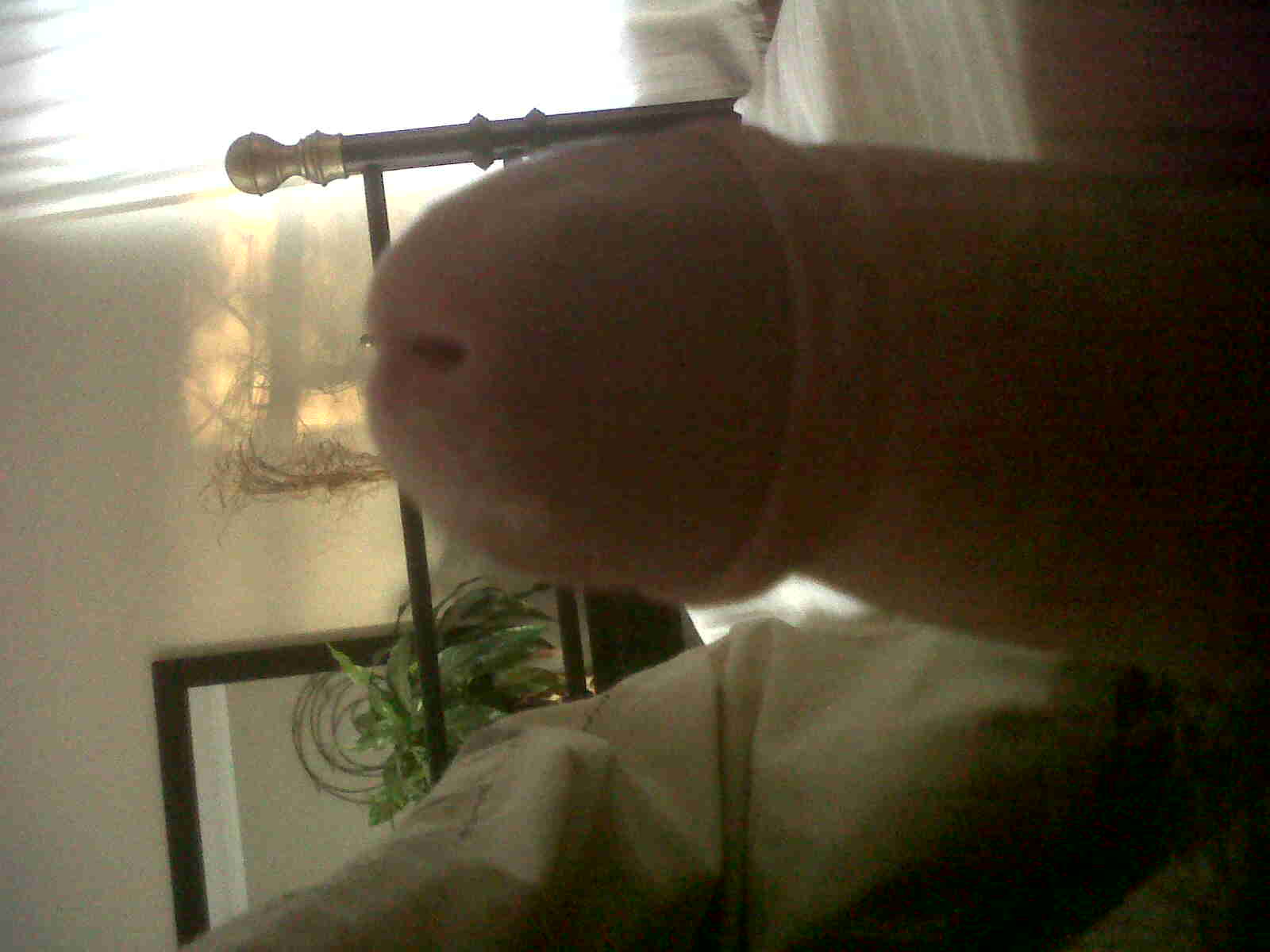Rate Me